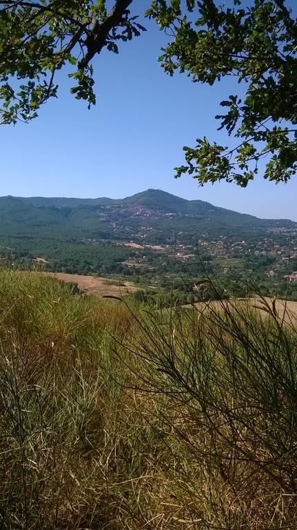 B&B Il Pantanello 로카디파파 외부 사진