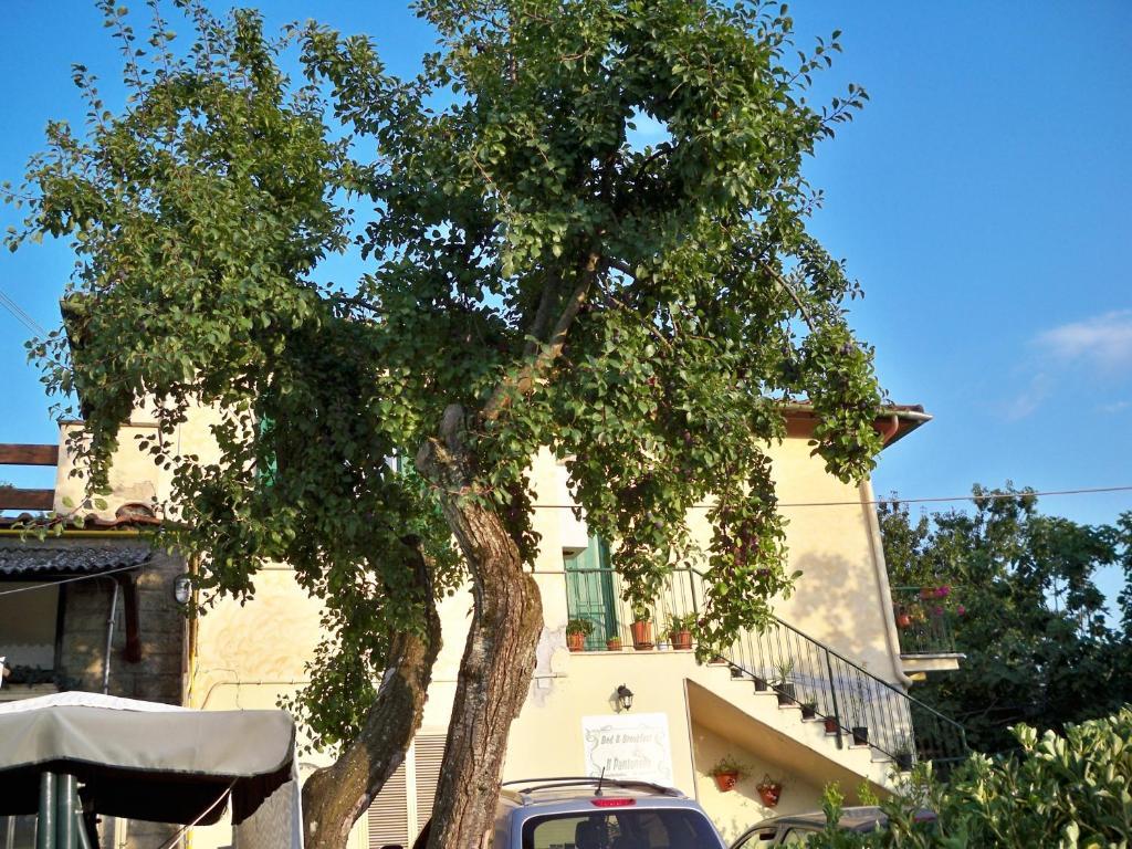 B&B Il Pantanello 로카디파파 외부 사진