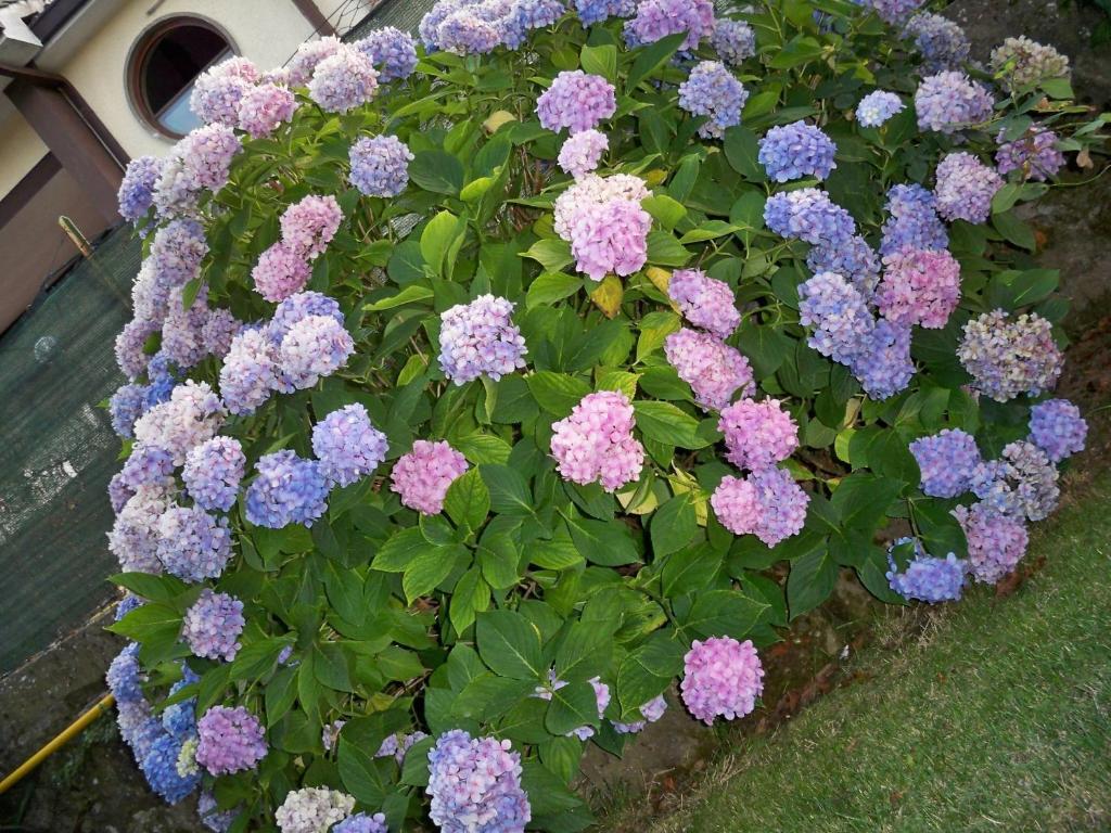 B&B Il Pantanello 로카디파파 외부 사진